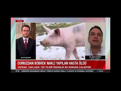 Hayvanda insana yapılan organ nakillerindeki son gelişmeler