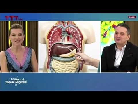 Karaciğer sağlığı ve karaciğer nakillerini tyt kanalında konuştuk